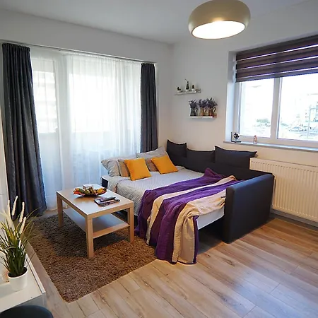 Apartment Relaxing Coresi Brasov